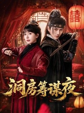 洞房筹谋夜