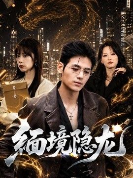 缅境隐龙
