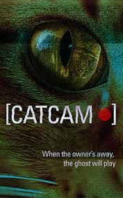 猫咪摄像头